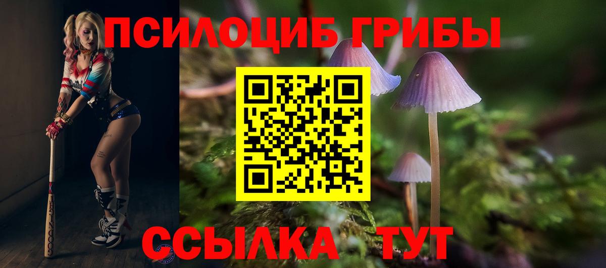 Псилоцибиновые грибы MAGIC MUSHROOMS  Галлюциногенные грибы прущие грибы  Краснознаменск  Вход с VPN 